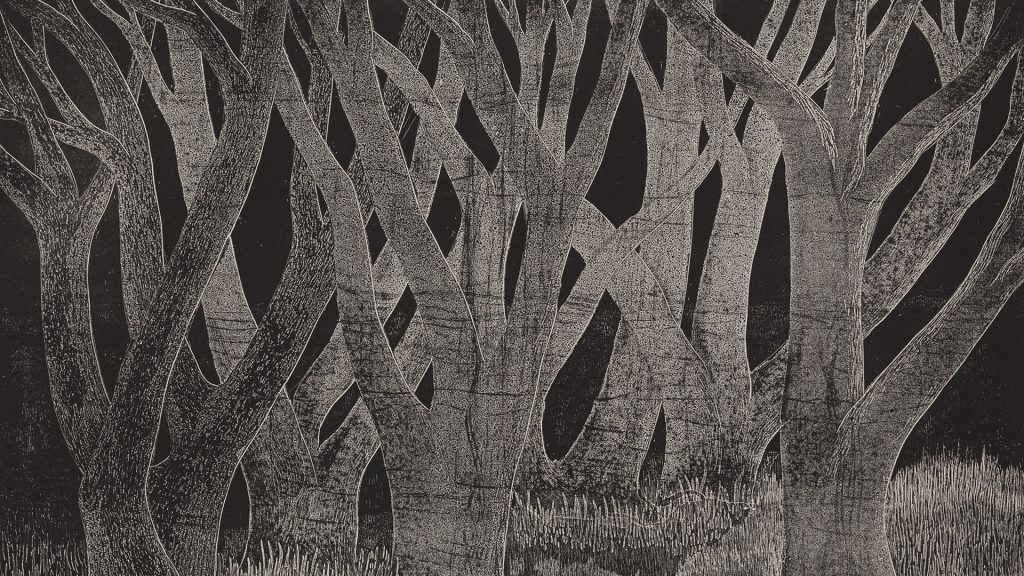 etching of interwoven trees in black ink