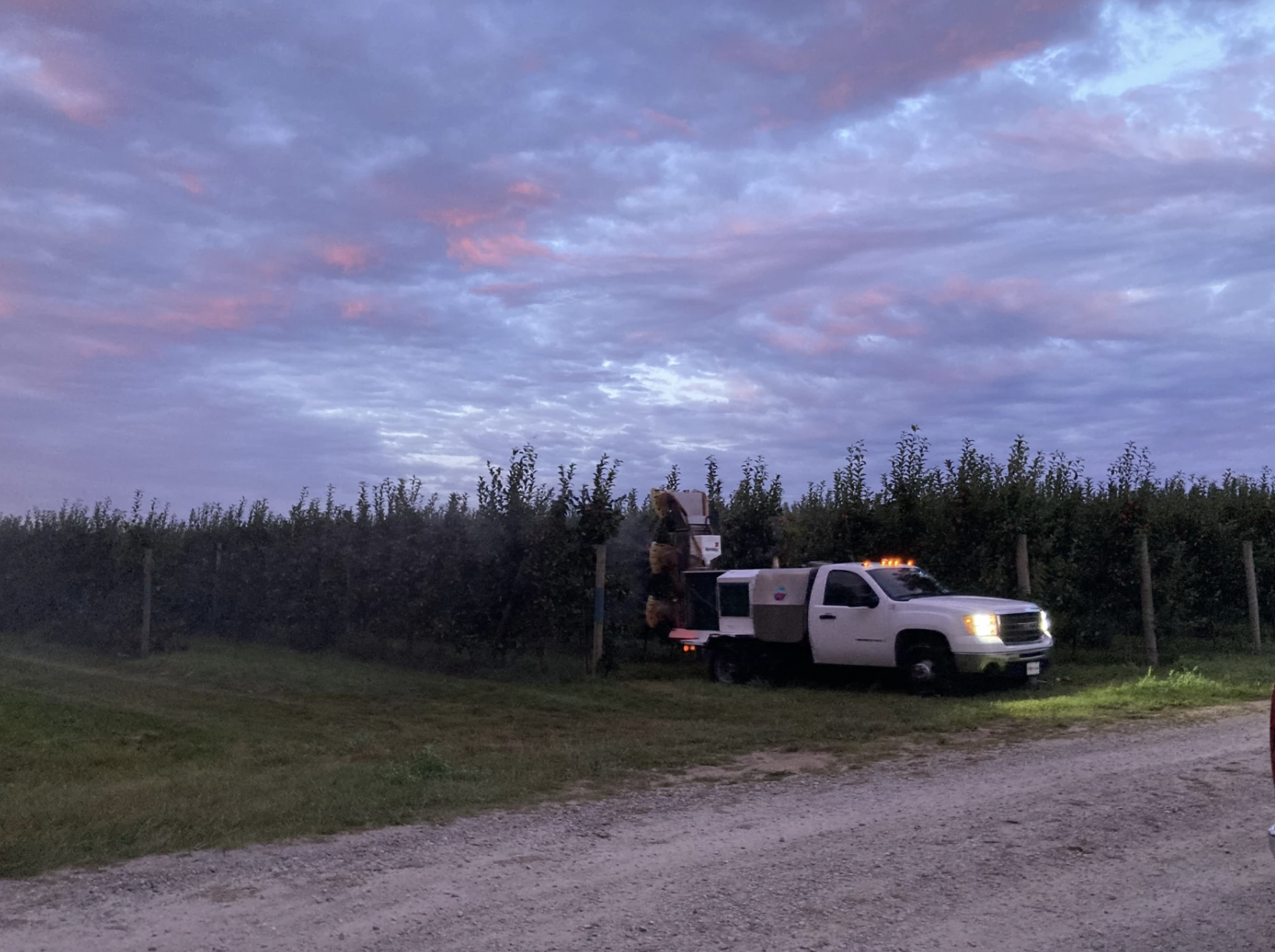 A truck applies plant growth regulator to blocks of premier Honeycrisp apples. The goal is to slow the fruit's ripening while allowing more time for the apples to redden. Agricultural technology like plant growth regulators are helping improve fruit quality and storability.