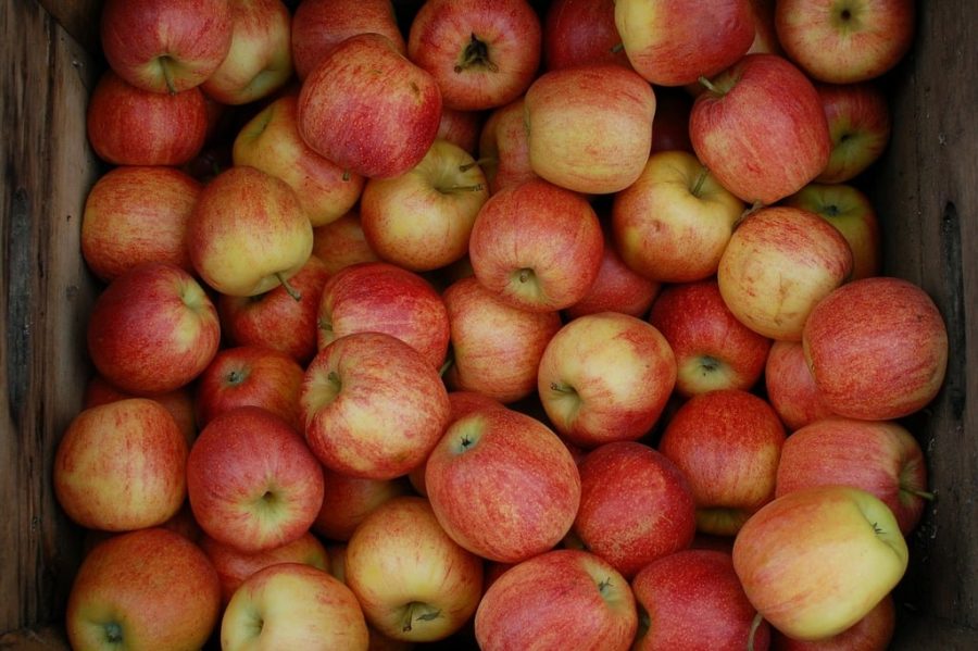 Michigan Apple growers produce over 1 billion pounds of apples each year.