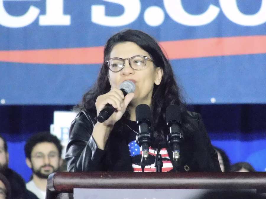 Rep. Rashida Tlaib.