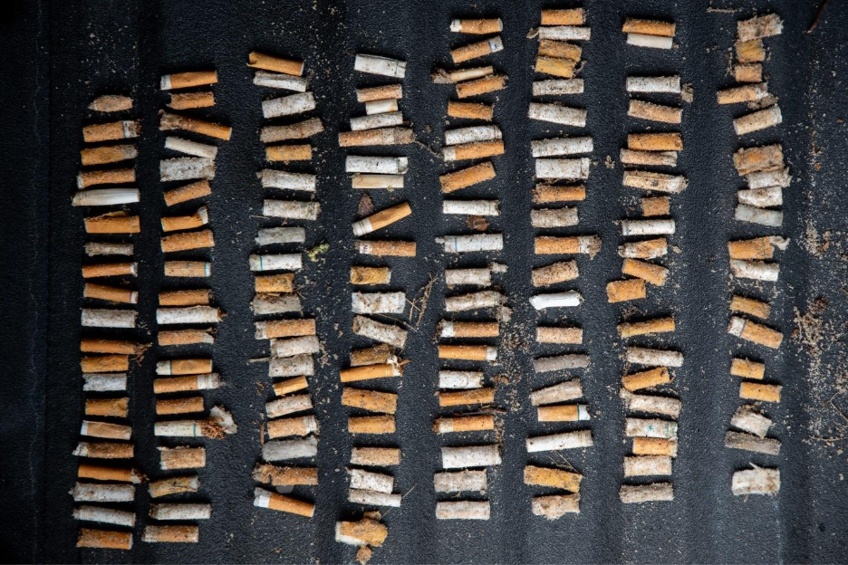 6 rows of cigarette butts that were found littering the surrounding beach