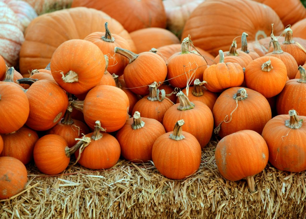 Pumpkins piled up on a haystack