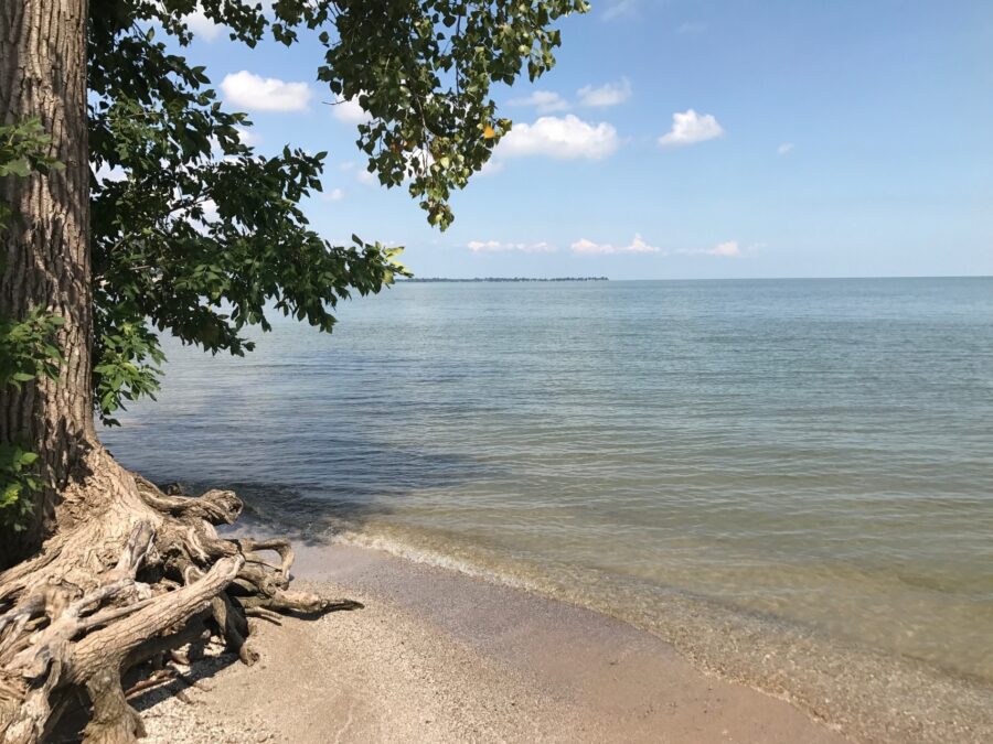 LakeErieView
